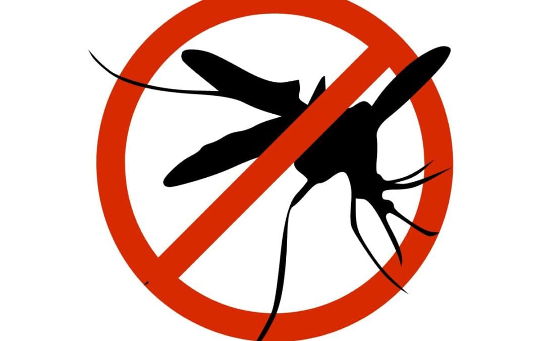 Freezanz Ghost: L’Innovativo Ugello Estensibile per il Controllo delle Specie Infestanti