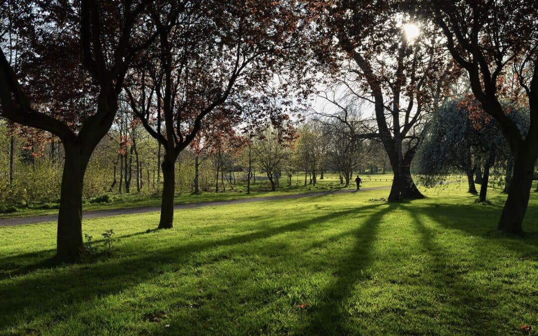 Park System, l'antizanzare per giardino e parchi