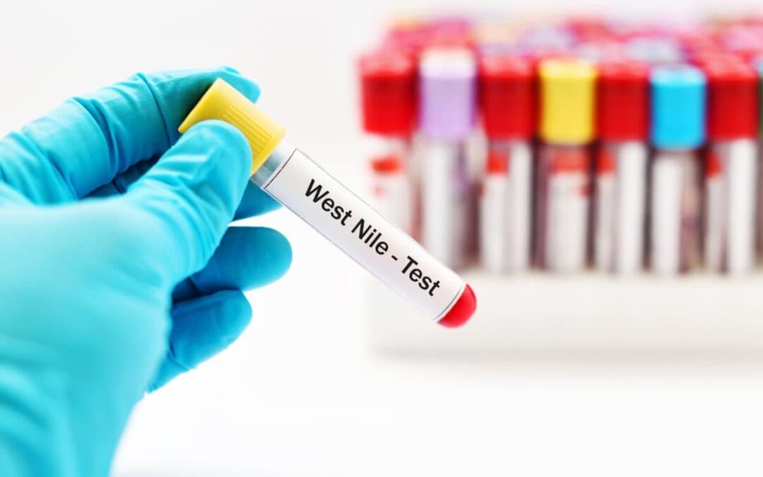 West Nile in Italia: diffusione, rischi futuri e prevenzione ambientale