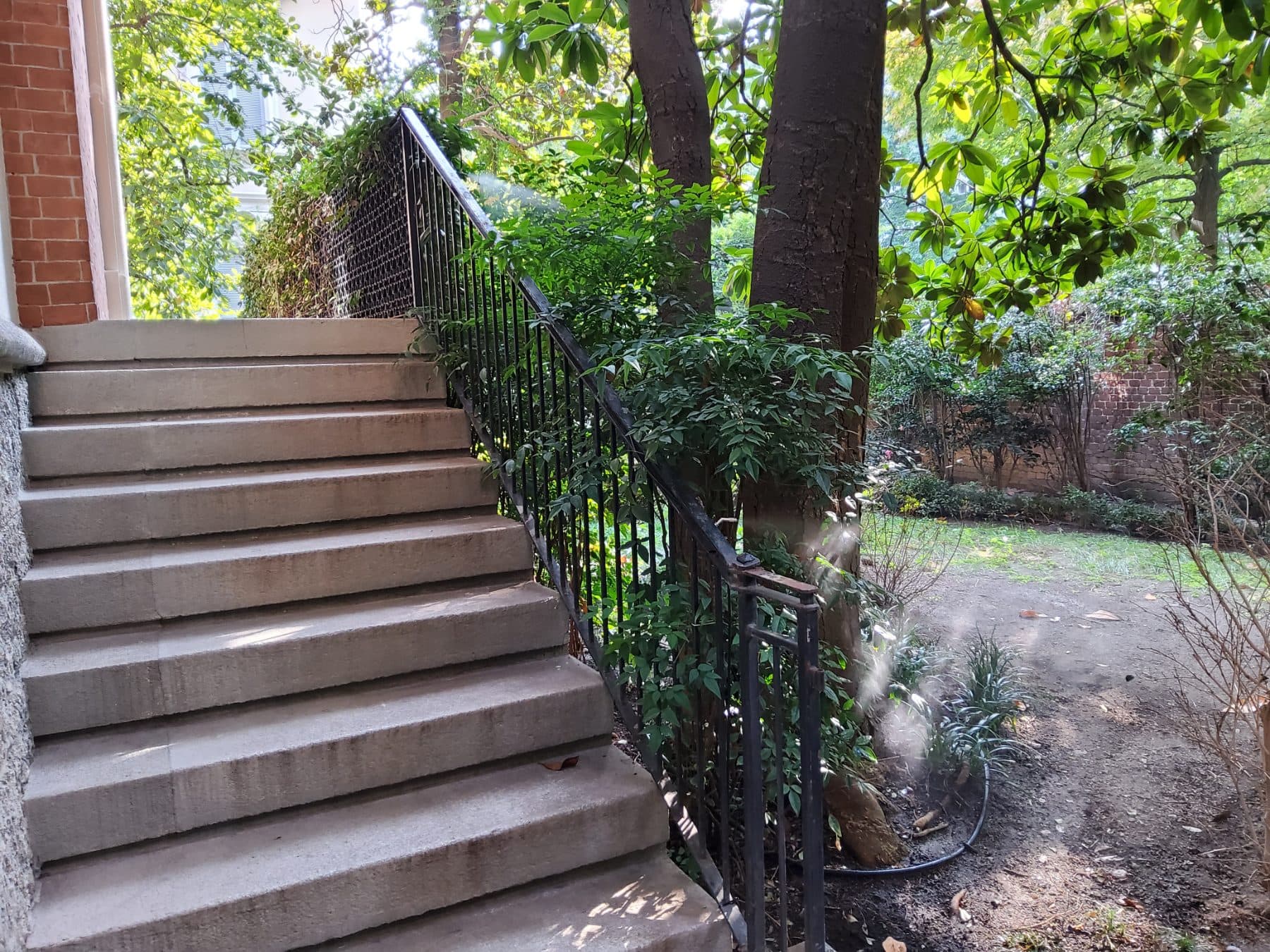 Scala in pietra della corte con nebulizzazione tra gli alberi e le aiuole