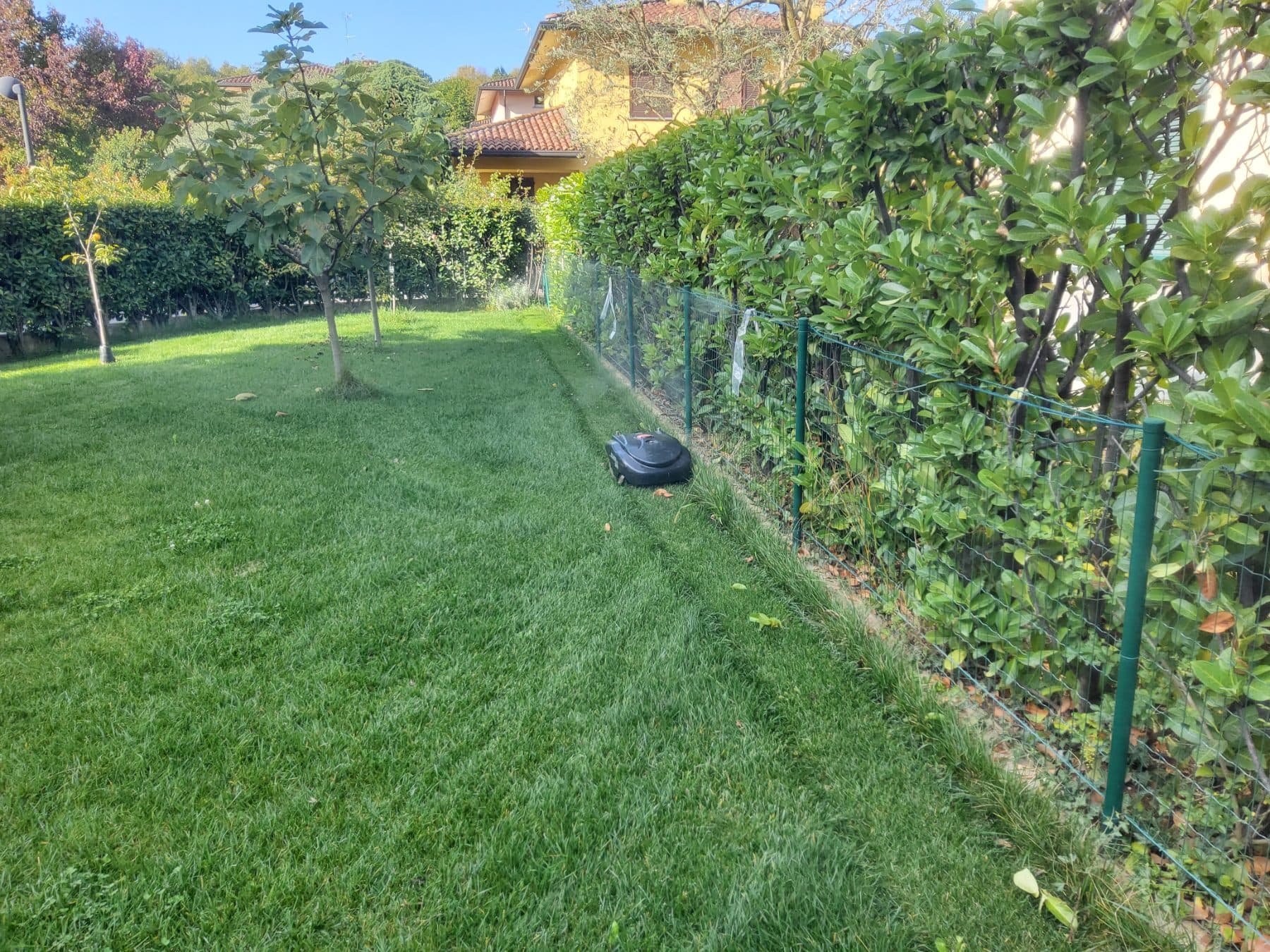Prato con robot rasaerba lungo una recinzione metallica e una siepe di lauro